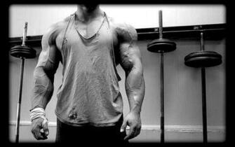 Animal Pak Wallpaper