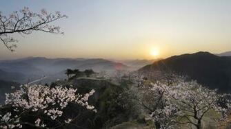Blossom Sunrise Spring Wallpaper Album