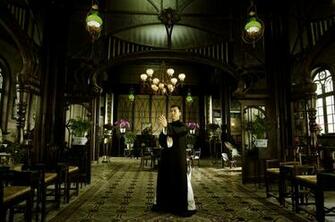 Ip Man Martial Arts T Wallpaper