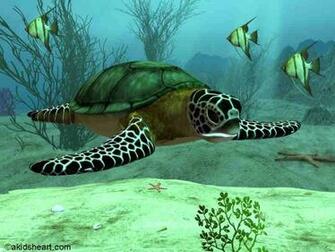 Sea Turtle Desktop Wallpaper