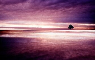 Fantastic Nature Background Computer Wallpaper Desktop Background