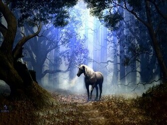 Fantasy Horse Wallpaper
