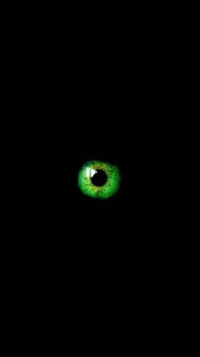 Green Eye In Dark Wallpaper iPhone