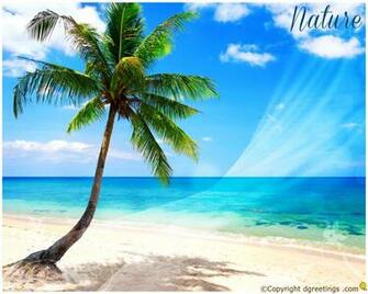 Desktop Wallpaper On Nature Dgreetings
