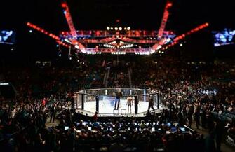 Ufc Wallpaper Desktop 4usky