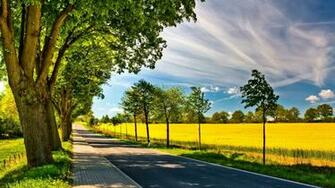 Spring Road Desktop Pc And Mac Wallpaper