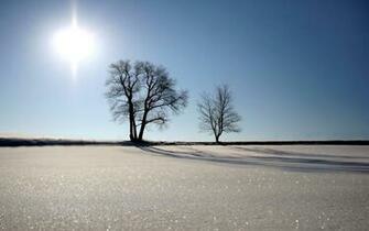 Widescreen Winter Snow Scenery Dreamy Wallpaper