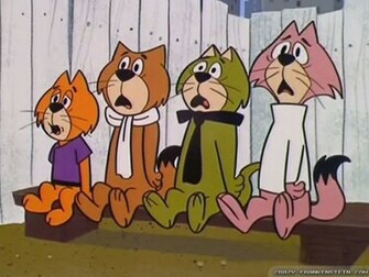 Top Cat All Cats Shocked Cartoon Wallpaper