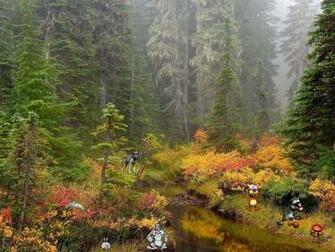 Fall Animals 7art Screensavers Autumn Shtml