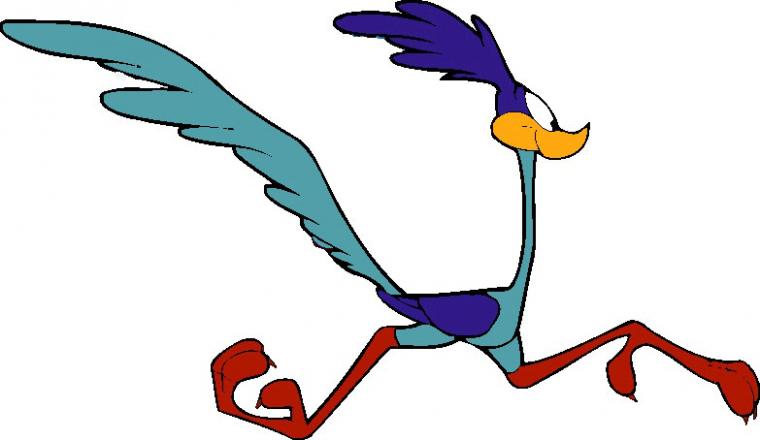 Coyote And The Road Runner Cartoon Wallpaper