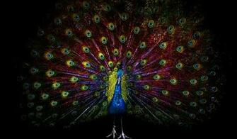 Pixels Wallpaper Set For Htc Flyer Tab Tech Bug Best HD