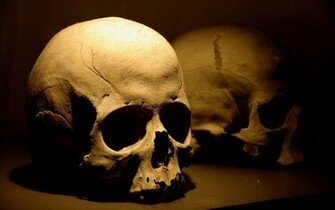 Image For Skulls And Bones Wallpaper