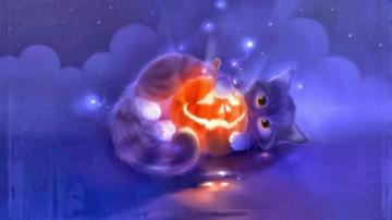 Halloween Cat Wallpaper On