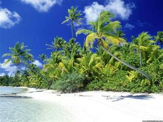 Desktop Wallpaper Natural Background Palm Beach Solomon