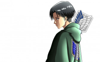 Levi Ackerman Attack On Titan HD Wallpaper
