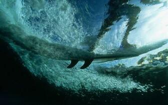 Surfboard Wallpaper