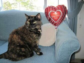 Happy Valentine S Day
