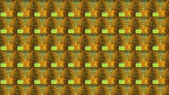 Cynic Focus Wallpaper Tiled Desktop
