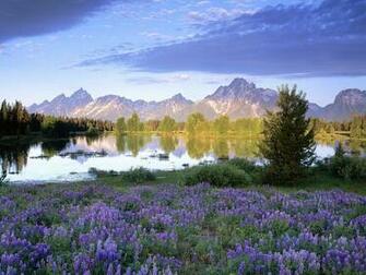 Spring In Wyoming Wallpaper