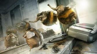 Funny Animal Wallpaper HD