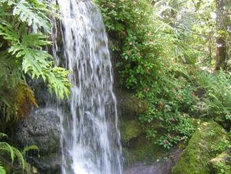 Tropical Landscape Wallpaper Florida Sceneries