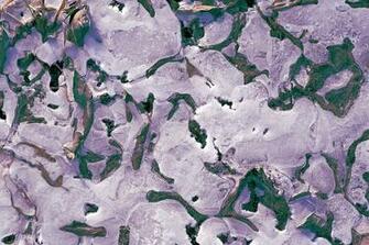 Permafrost 1080p 2k 4k 5k HD Wallpaper