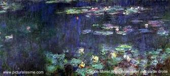 Related Pictures Net Beautiful Lilies Wallpaper Colorful Lily Flower S