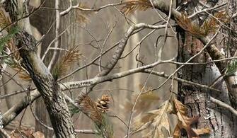 Realtree Ap Camo Hunting Gear Gun Parts Cases