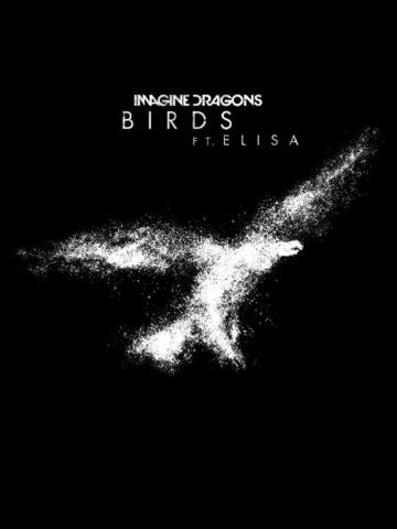 Imagine Dragons Birds Music Video