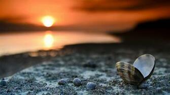 HD Laptop Wallpaper Background For Beautiful