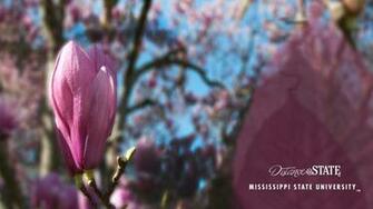 Center For Distance Education Wallpaper