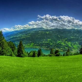 Spring iPad Wallpaper