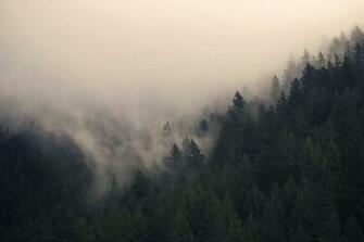 Misty Mountains Wallpaper Mountain Weather By