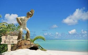 Humor Animal Wallpaper Background HD Desktop