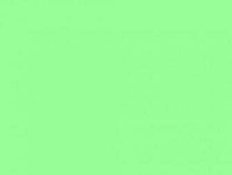 Solid Mint Green Background