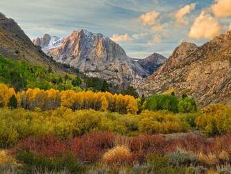 Autumn Harmony June Lake Loop Near Mammoth Lakes