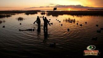 Waterfowl Wallpaper Mossy Oak