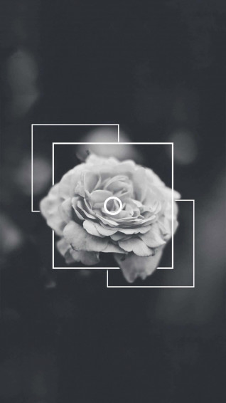 Black And White Flower iPhone Wallpaper