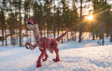 Wallpaper Background Toy Dinosaur Image For Desktop Section