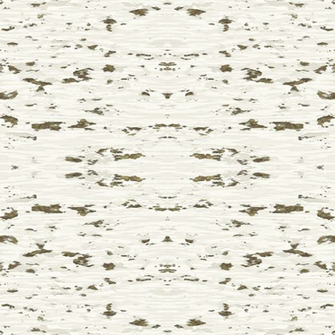 Birch Bark Wallpaper Rrrrr001 Png