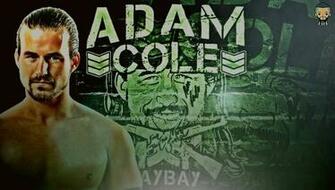 Adam Cole Wallpaper By Perfect10designs