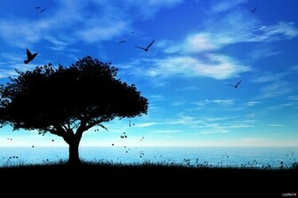 Birds After Sunset Abstract HD Wallpaper Epic Desktop Background