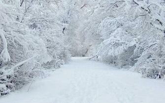 Season Snow Wallpaper Winter Desktop