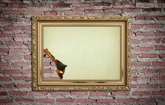 Galleries Antique Picture Frame Background