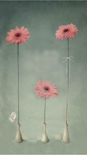 Cute iPhone Wallpaper Cool