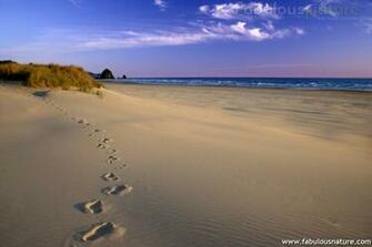 Pictures Footprints In The Sand Oregon Coast Beaches Wallpaper
