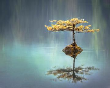 Best Zen Pictures Image