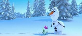 Olaf Coming Across The Saffron