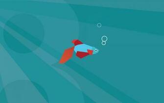 Windows Background Metro Fish Theme Wallpaper X