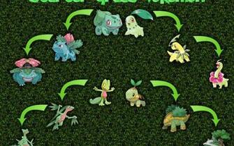 Pokemon Bulbasaur Venusaur Ivysaur Treecko 9teq